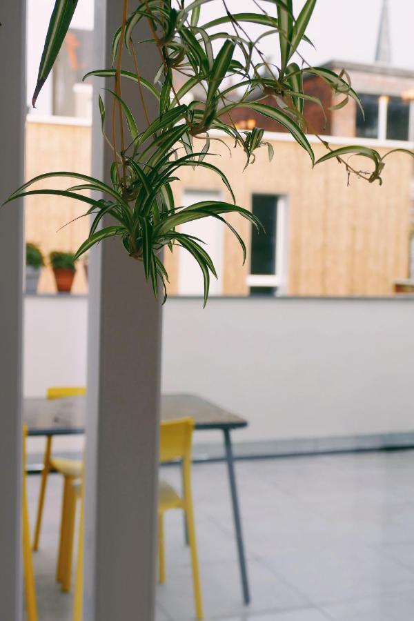 130Sqm Appartment With 20Sqm Terras And Free Parking Antwerpen Eksteriør billede